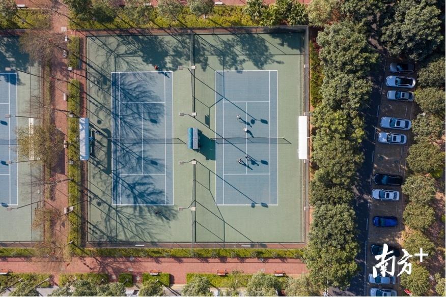 东莞体育公园小学学区，活力四溢的体育教育与优质教育资源融合之地