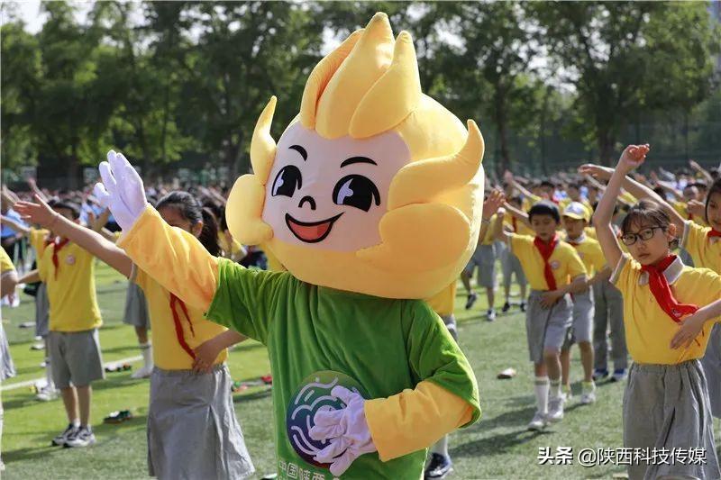 陕西体育类大学，体育爱好者的梦想学府