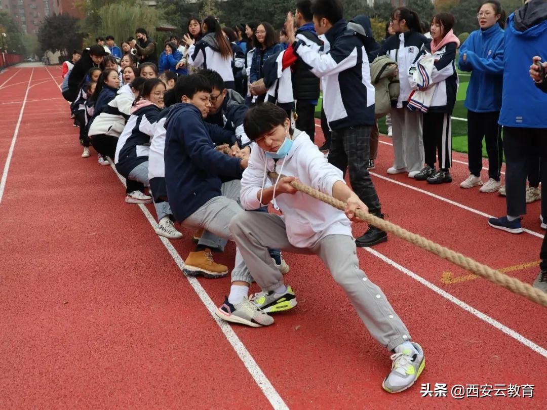 体育爱好者的理想学府——陕西体育类大学概览