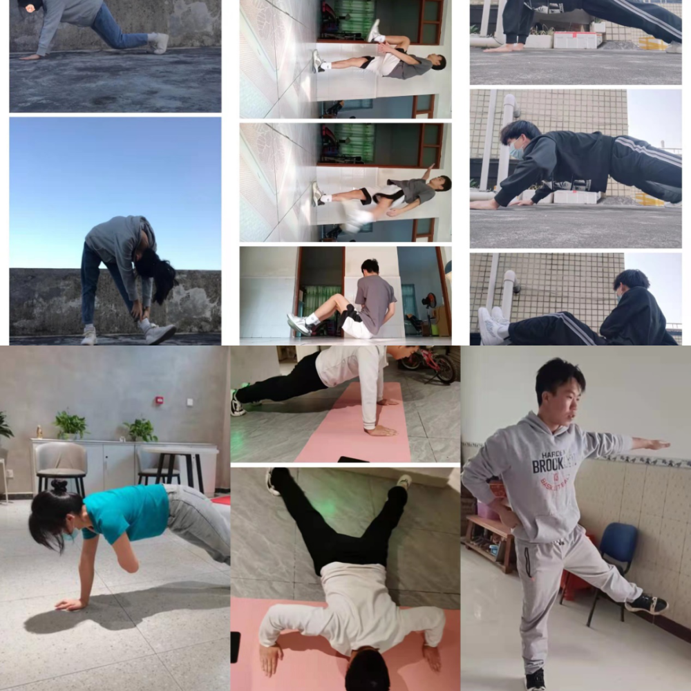 体育网课中的拉伸图，探索身体柔韧性与健康的桥梁