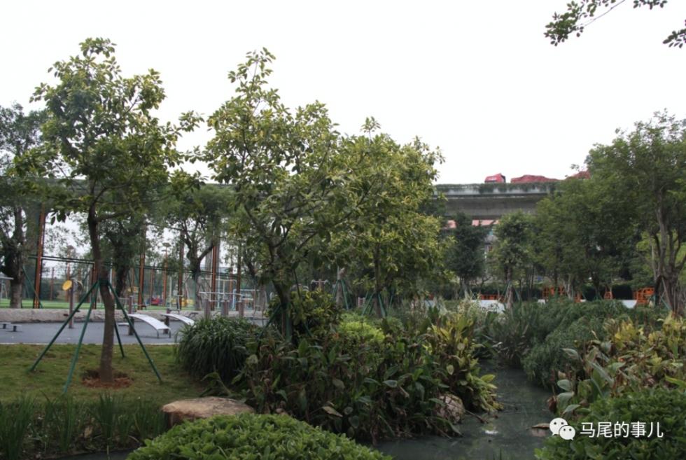 体育教师面试的小品，展现教学才华与团队精神的瞬间