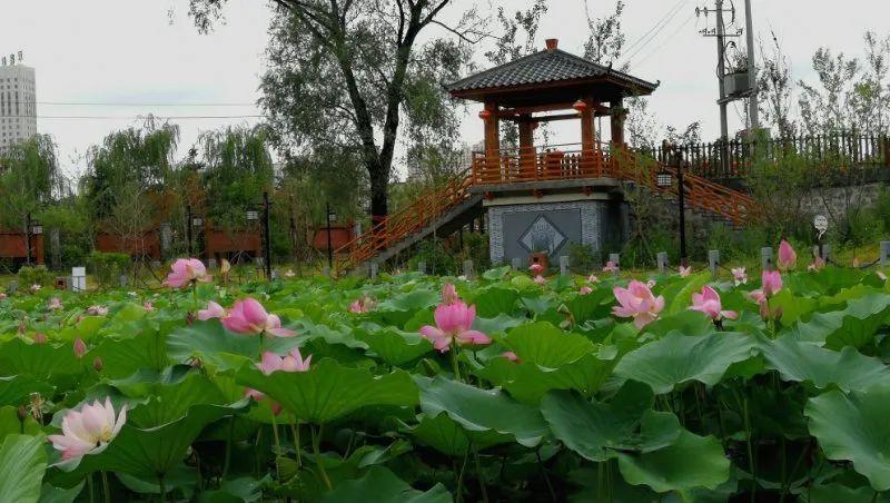 体育教师面试的小品，展现教学才华与团队精神的瞬间
