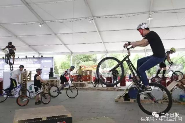 十博体育投注号查询，探索体育彩票投注的新世界