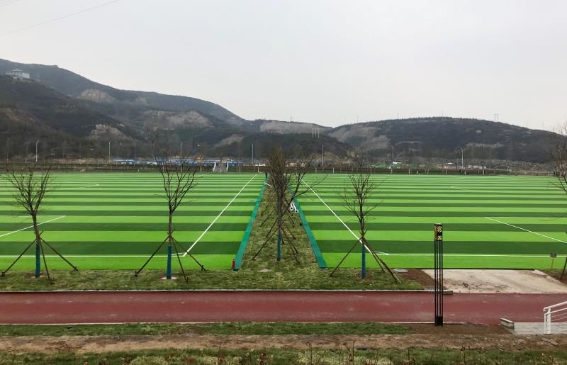 青岭体育公园深度游，详细指南与探索之旅