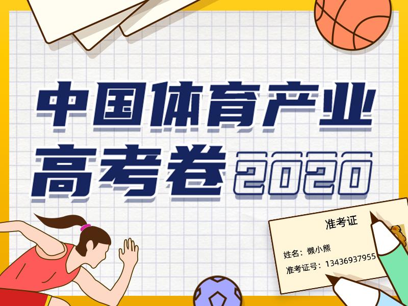 体育作文九年级，运动的力量与青春的热情