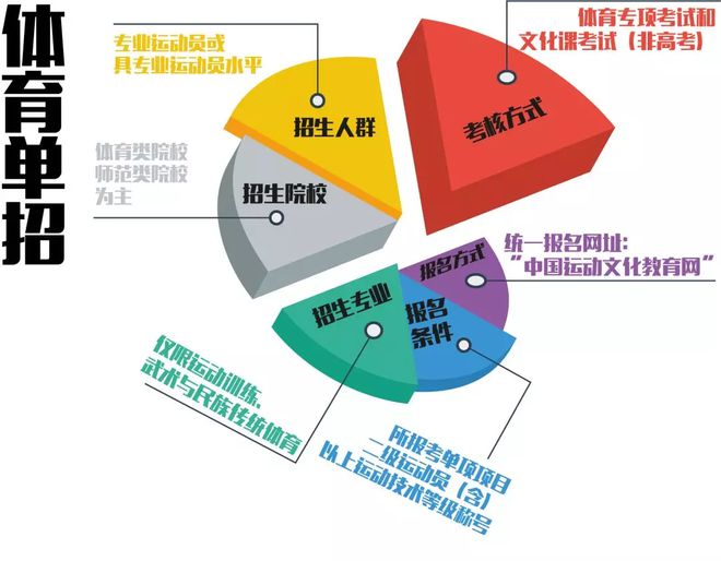 体育参与的类型与层次，多维度探讨体育参与的分野