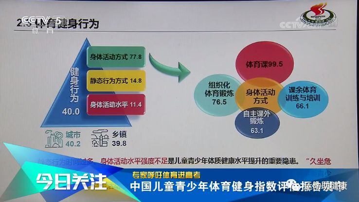 龙岩高考考体育，如何选择适合自己的体育项目
