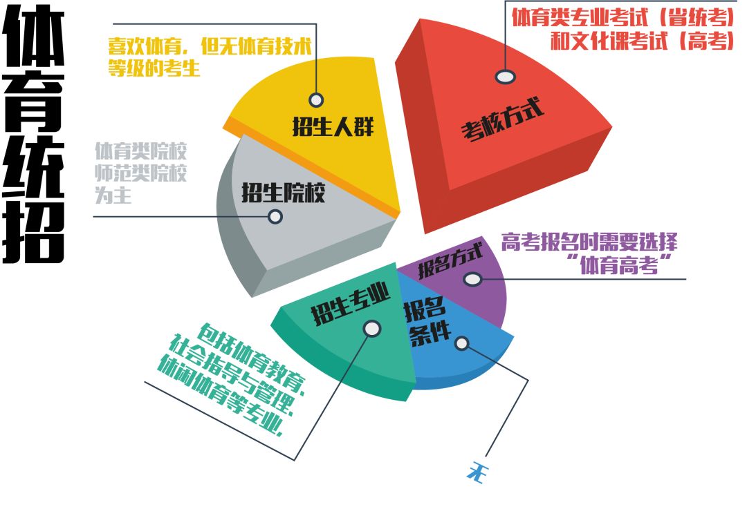 艺术生有没有体育专业，多维度视角下的探讨