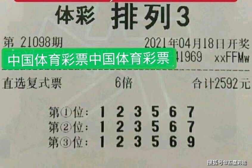 桐木与体育彩票，探索与解析