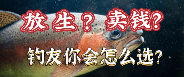 鲁尼谈恐惧症，揭示对鱼的深深恐惧，特别怕大鱼