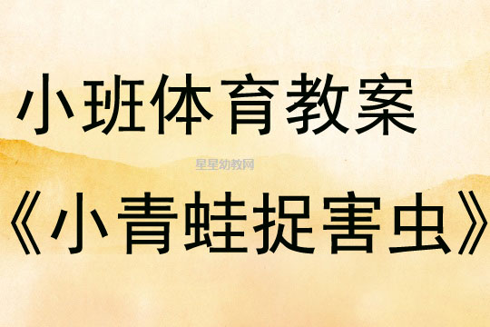 小班体育小青蛙活动的教学反思与启示