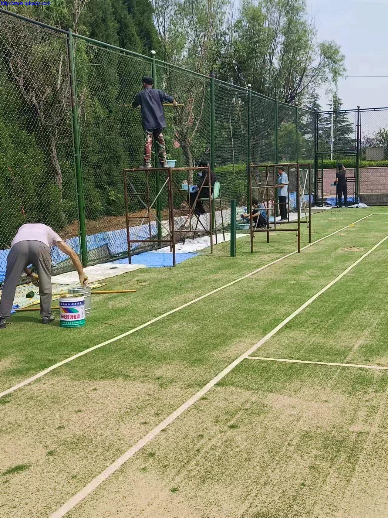 体育场墙面刷新服务，重塑运动空间，焕发新活力
