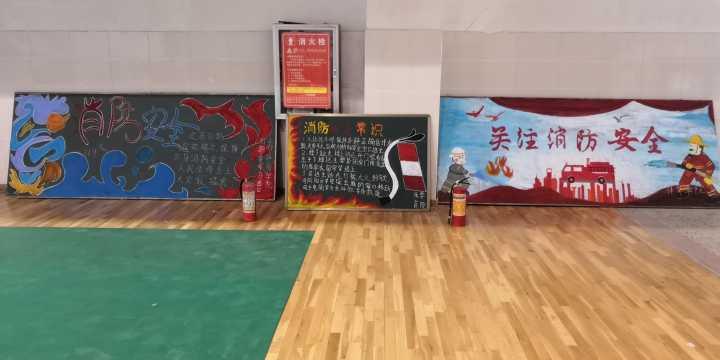 体育的普及如何改变世界