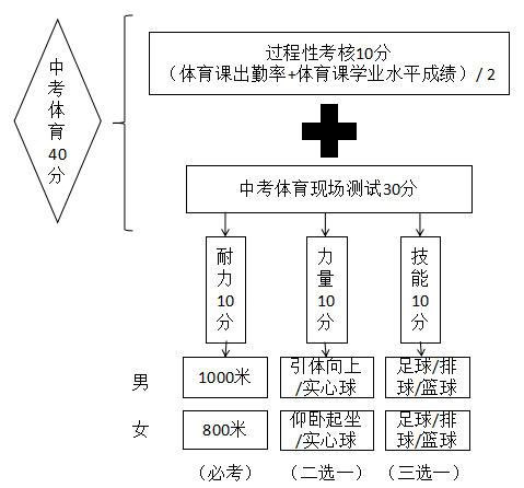 中考体育理论如何取得高分，策略与建议
