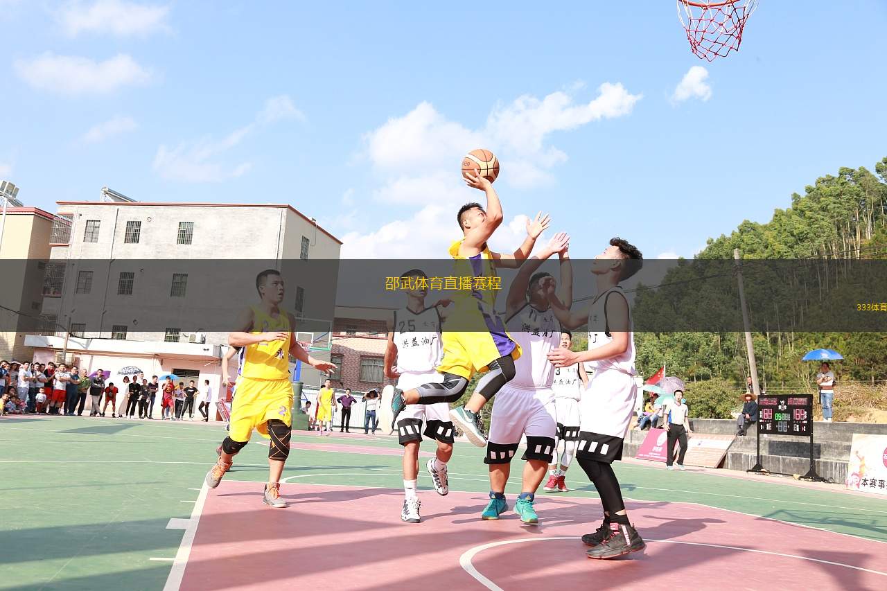 武平丽景文化体育传媒，融合传统与现代，共创美好未来