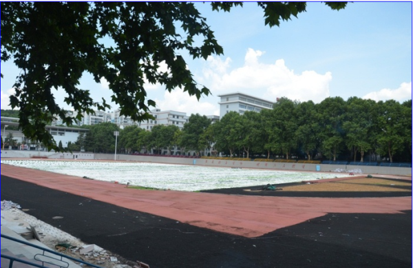 大学体育场，活力四溢的运动圣地