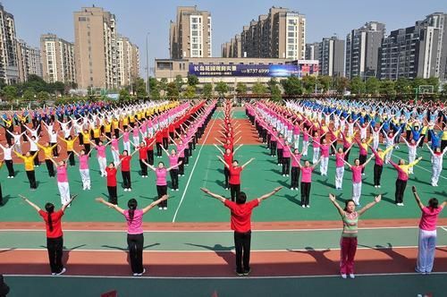 免费小学体育工作总结