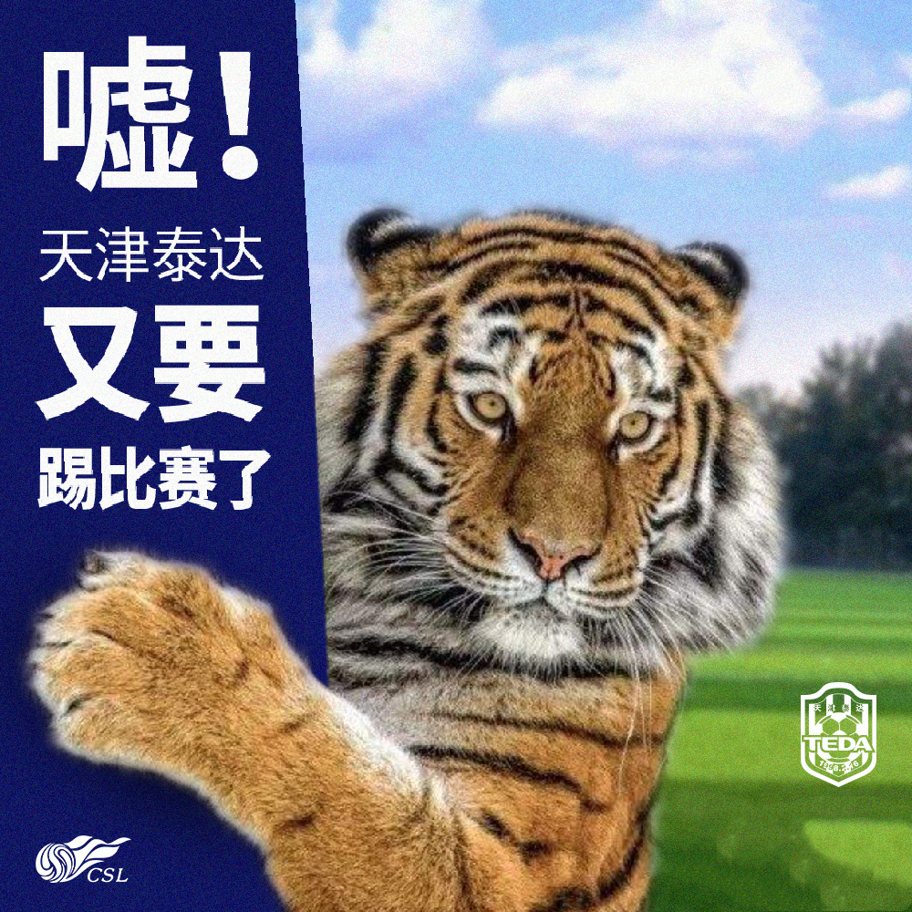 天津津门虎面临财务危机，新增欠税公告揭示欠税余额超1.5亿元