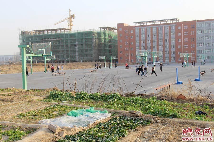 高校体育场现代化规划设计，打造现代化运动空间新标杆