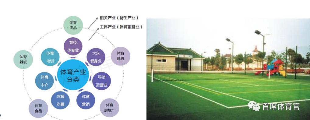 体育基础建设包括哪些要素，构建强健体魄的基石