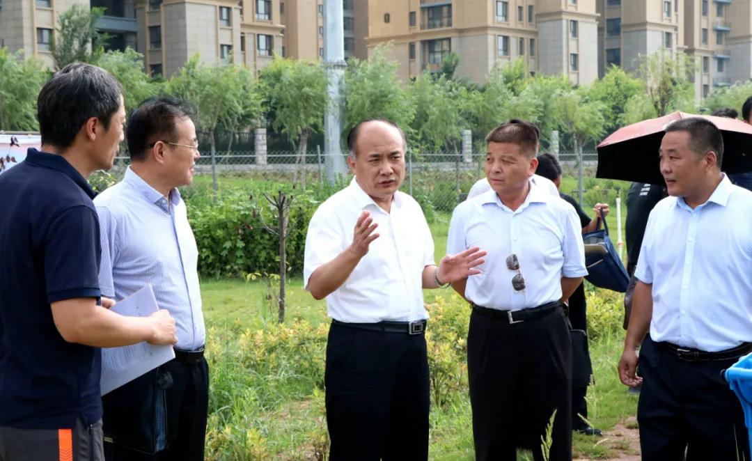 大学体育公共武术课程的学习内容及其重要性
