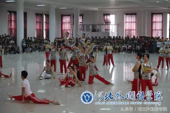 把汗水留给体育图片大全，运动精神与坚韧意志的赞歌