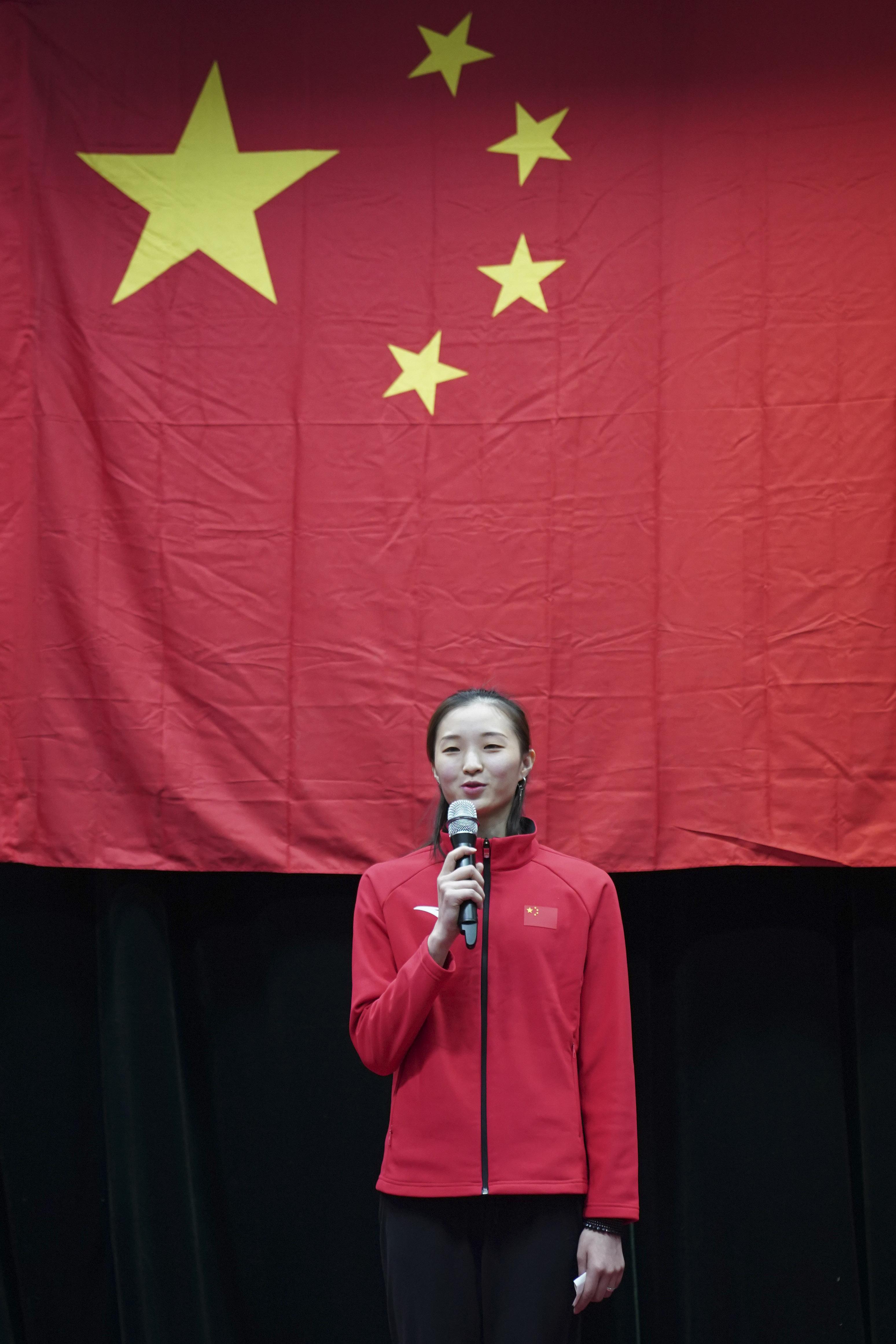 艺术领域是否包括体育，多维度视角下的探讨