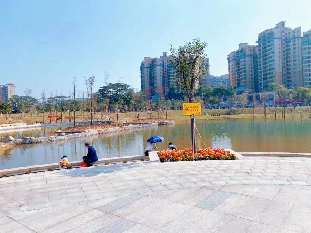 东莞体育公园现在人潮如何？——城市绿肺人气探秘