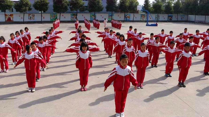 探索小学体育课中的体操世界，从视频教学出发
