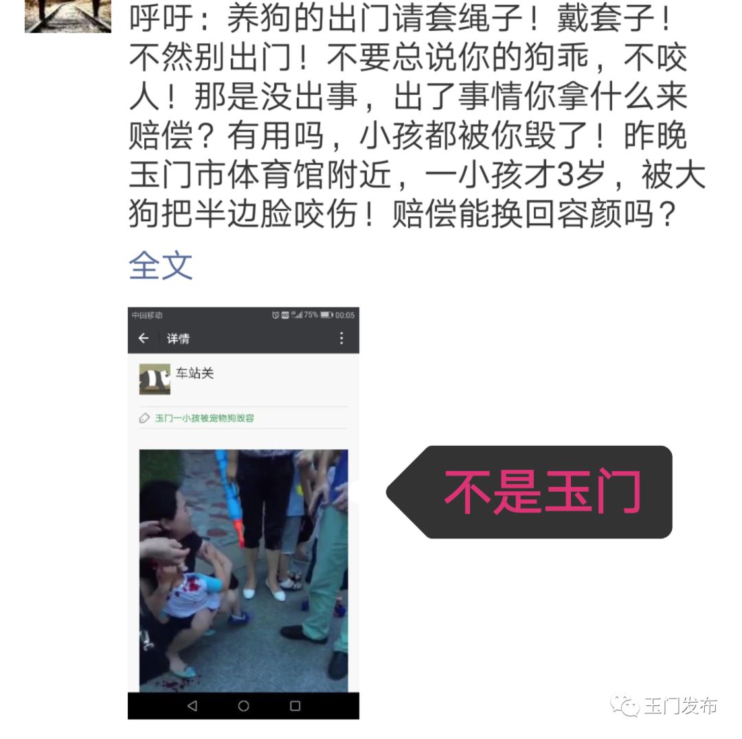 体育朋友圈高清壁纸，活力四溢的视觉盛宴，展现运动风采！