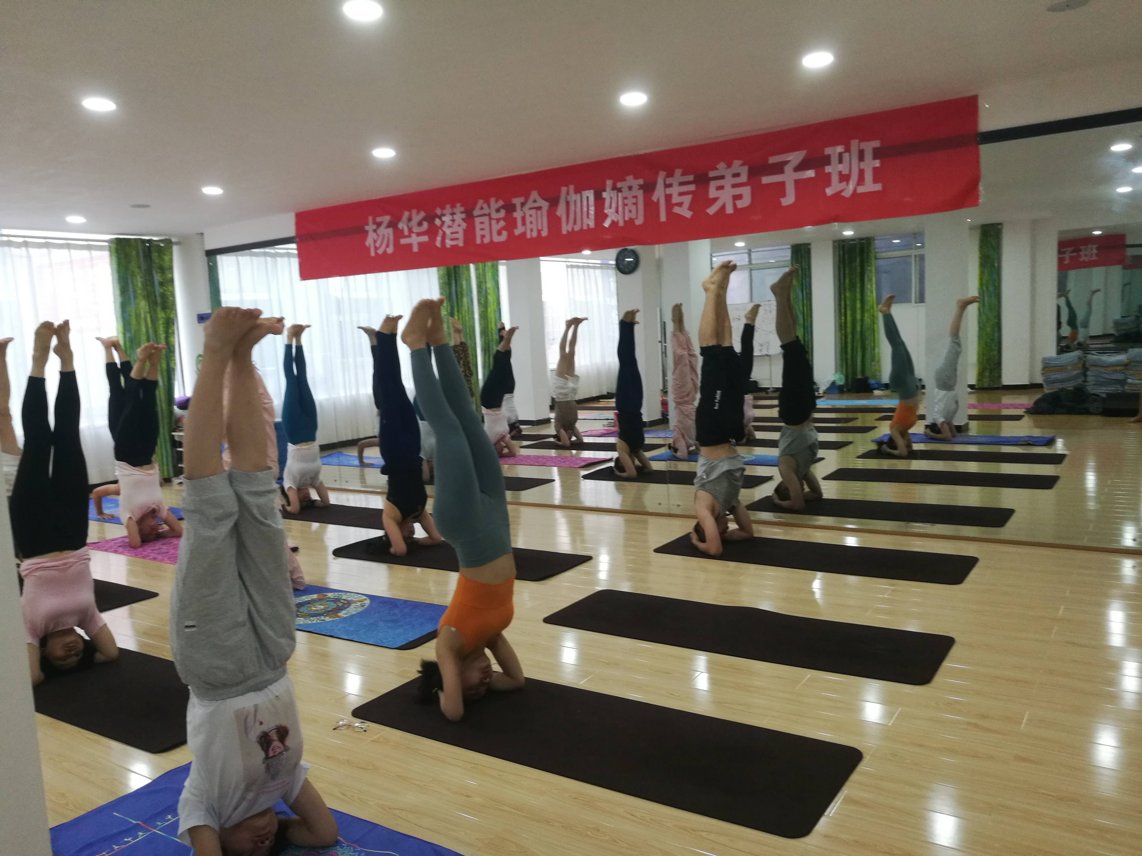 宝安体育培训，探寻优秀的培训机构之路
