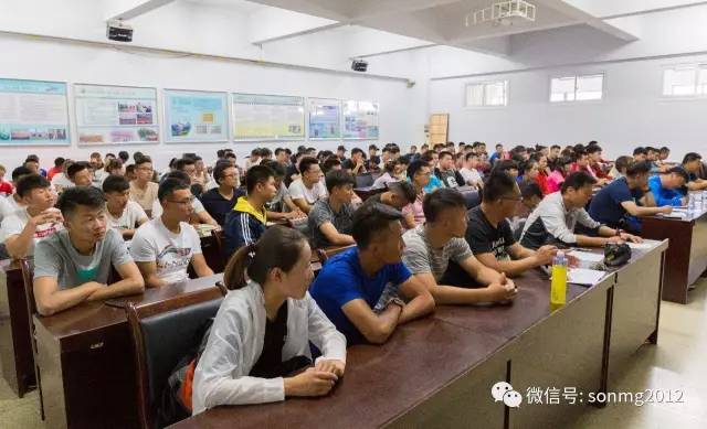 体育教育专业的优势与价值深度解析