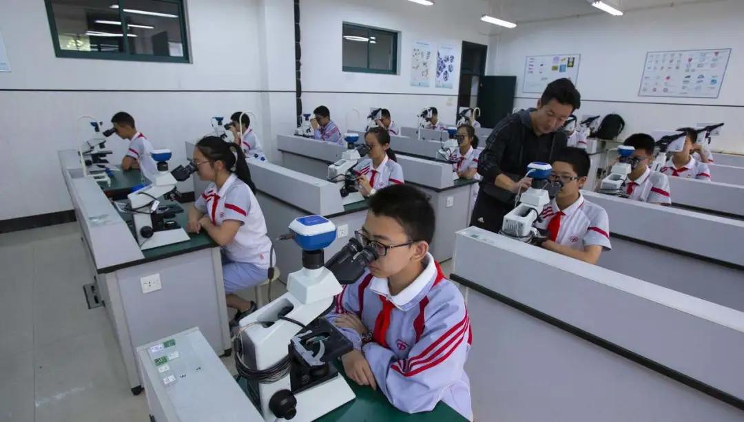 Pad能否观看体育直播，解析现代科技下的观赛新体验