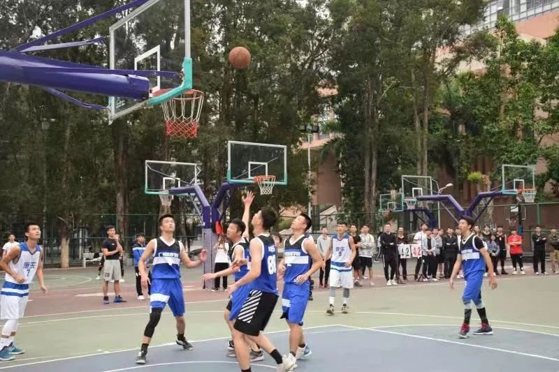 体育篮球生报考大学，策略与建议