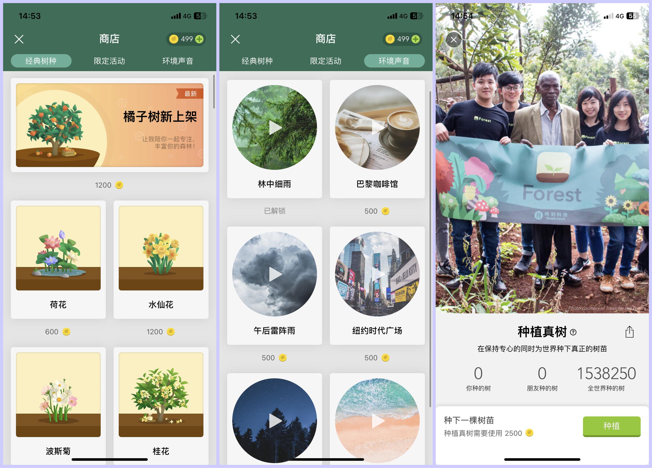小树苗体育中班反思，成长之路的点滴体会与改进策略探索