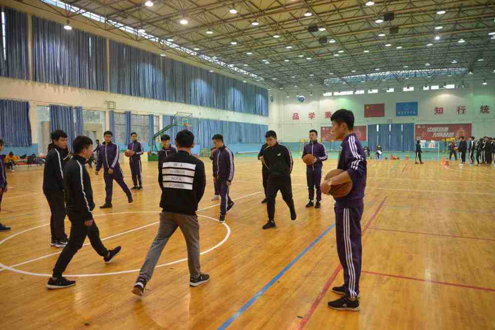 体育教育专业所属院系深度解析