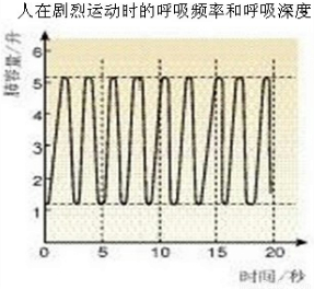 合理的体育锻炼频率，塑造健康生活的关键要素