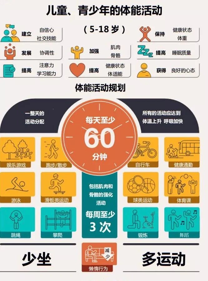 幼儿体育锻炼层次，塑造健康成长的基石