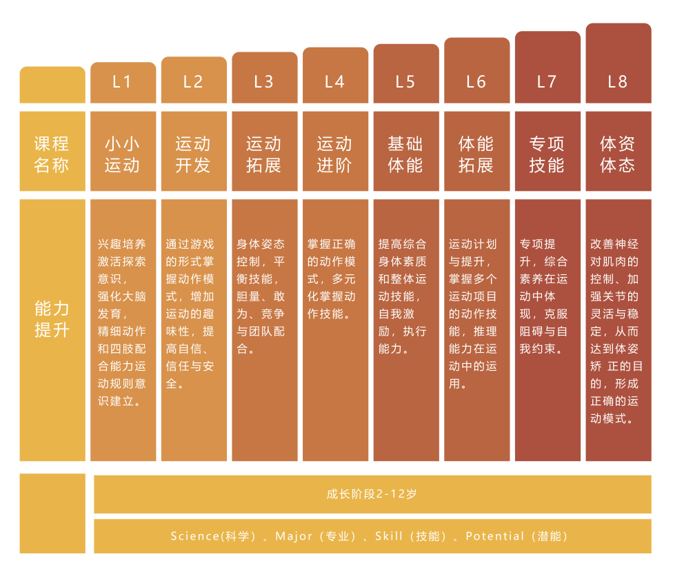 幼儿体育锻炼的层次，塑造健康成长的基石