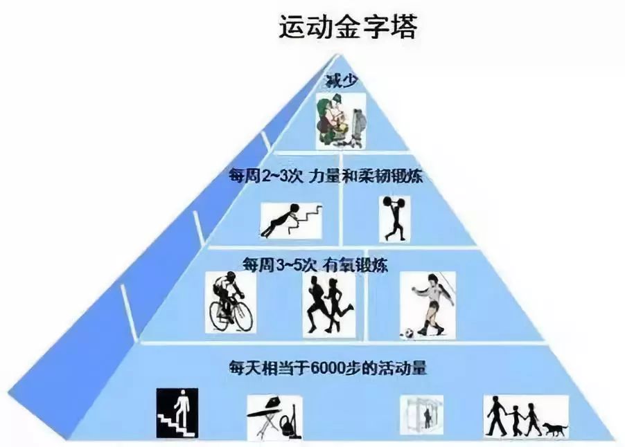 幼儿体育锻炼的层次，塑造健康成长的基石
