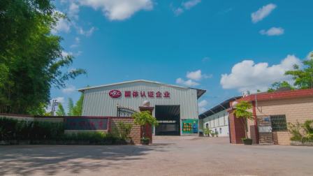 应县体育用品厂的崛起与未来展望