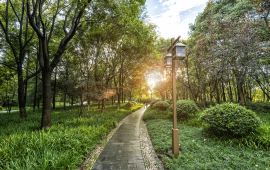 宝山气象体育公园地址，城市绿肺与运动休闲的交融胜地