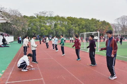 河南新蔡中考体育项目概述及其实施策略