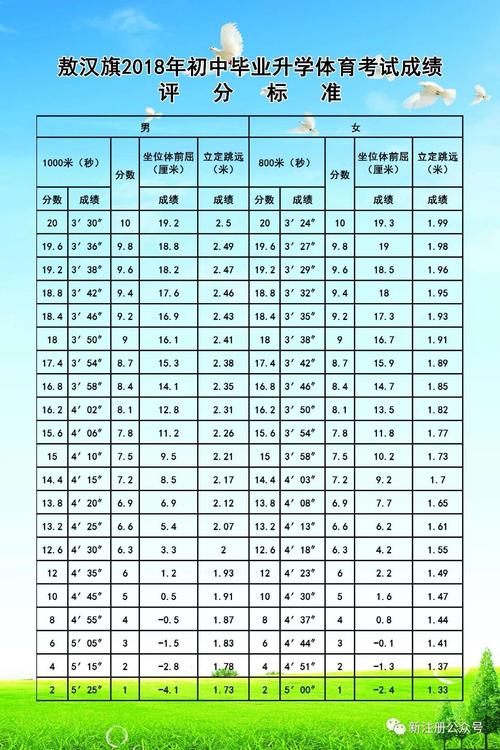 体育在中考加分中的重要性及其实践策略