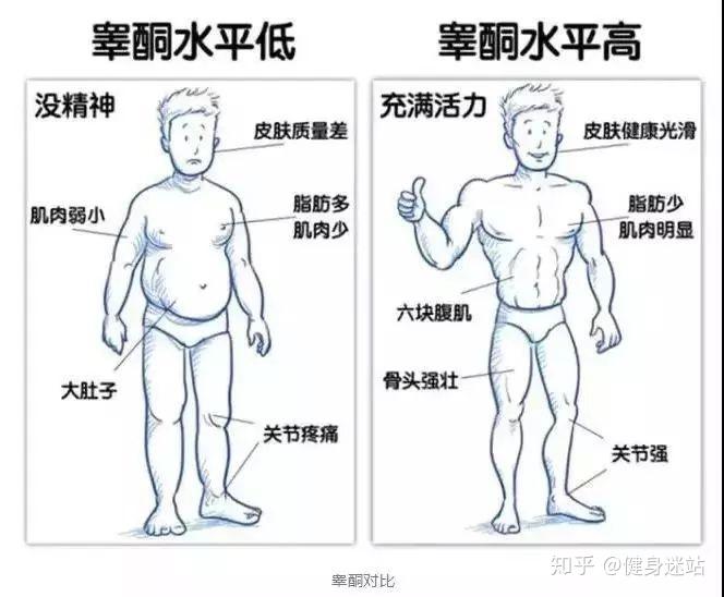 如何判断自己是否具有体育天赋，揭示体育天赋的多个维度