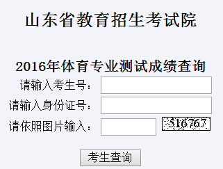 体育考研专业成绩的重要性与考察要点解析