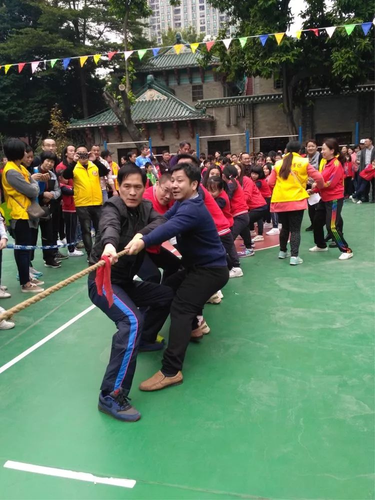 体育三环节，构建高效运动训练体系的核心要素