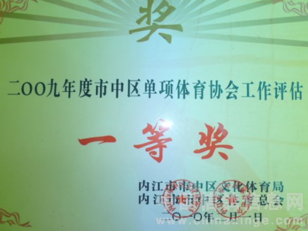 内江体育工作先进集体，铸就辉煌的榜样典范