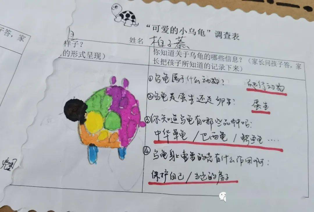 小班体育小乌龟走路的反思