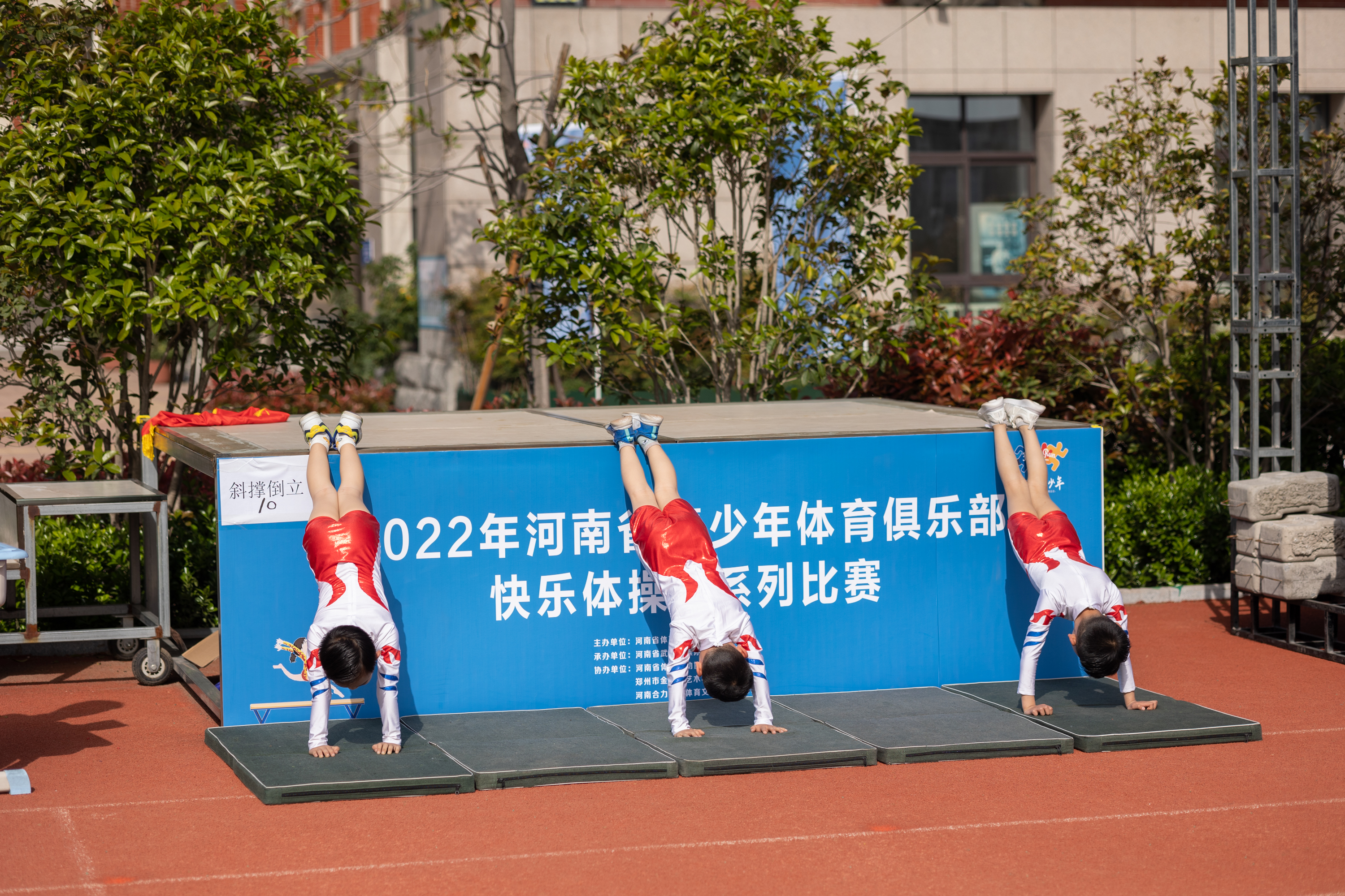 2022年河南省体育概览，活力四溢，蓬勃发展